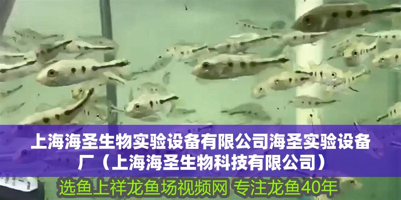 上海海圣生物實驗設備有限公司海圣實驗設備廠（上海海圣生物科技有限公司）