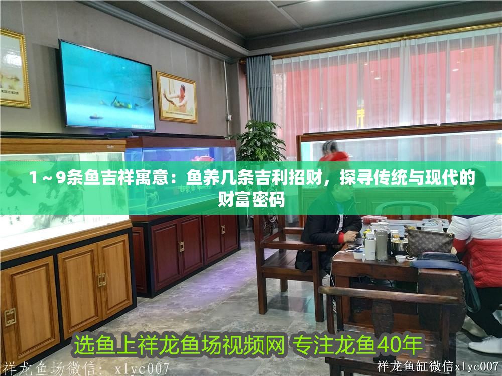 1～9條魚吉祥寓意：魚養幾條吉利招財，探尋傳統與現代的財富密碼