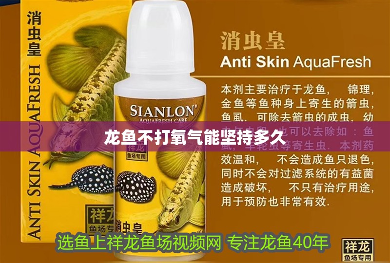 龍魚不打氧氣能堅持多久