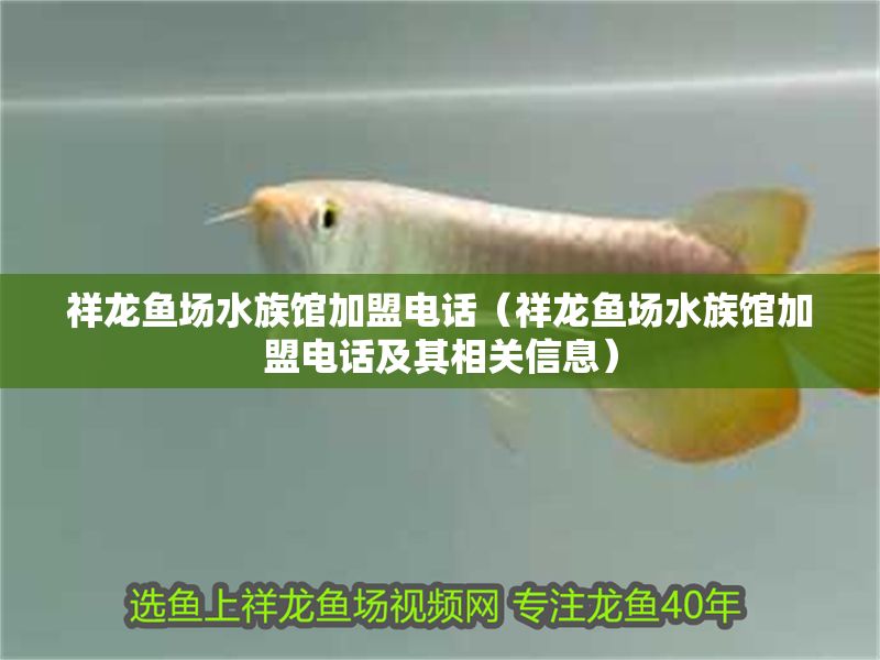 祥龍魚場水族館加盟電話（祥龍魚場水族館加盟電話及其相關(guān)信息）