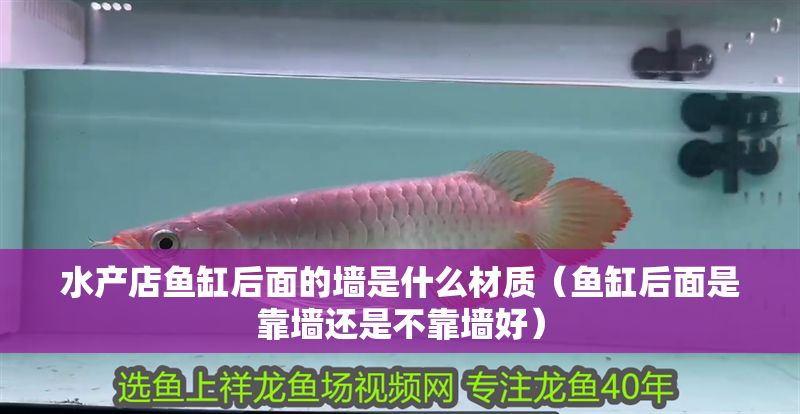 水產店魚缸后面的墻是什么材質（魚缸后面是靠墻還是不靠墻好）