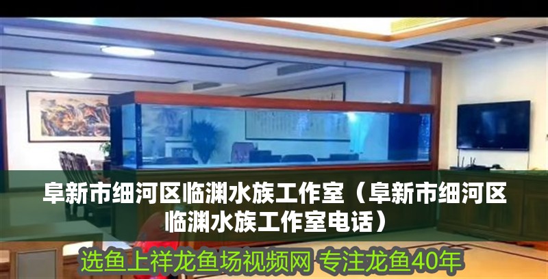 阜新市細河區臨淵水族工作室（阜新市細河區臨淵水族工作室電話）