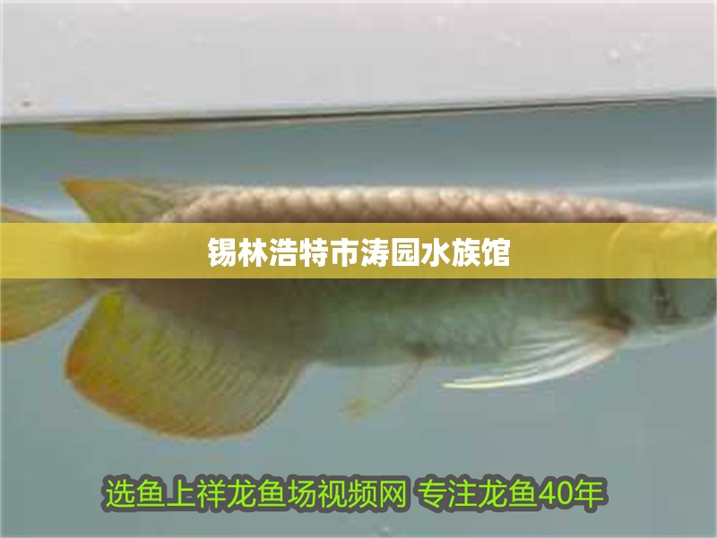 錫林浩特市濤園水族館
