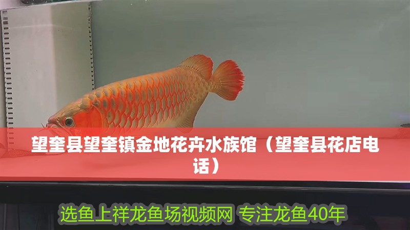 望奎縣望奎鎮(zhèn)金地花卉水族館（望奎縣花店電話）