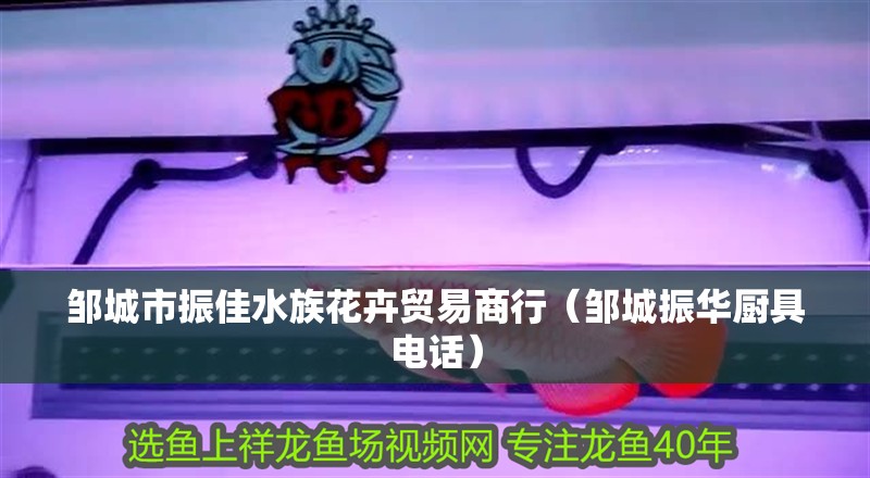 鄒城市振佳水族花卉貿易商行（鄒城振華廚具電話）