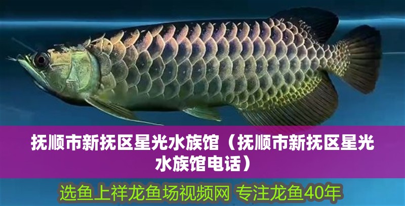 撫順市新撫區星光水族館（撫順市新撫區星光水族館電話）