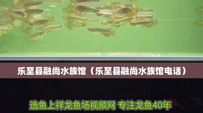 樂至縣融尚水族館（樂至縣融尚水族館電話）