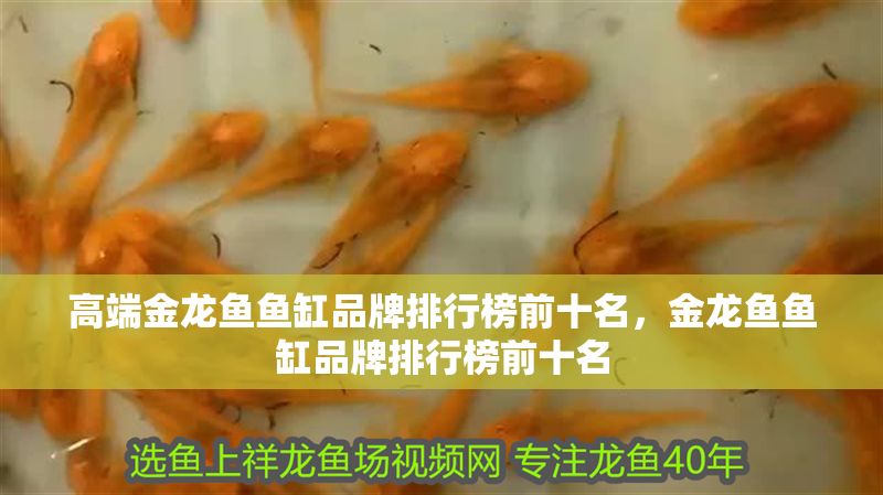 高端金龍魚魚缸品牌排行榜前十名，金龍魚魚缸品牌排行榜前十名