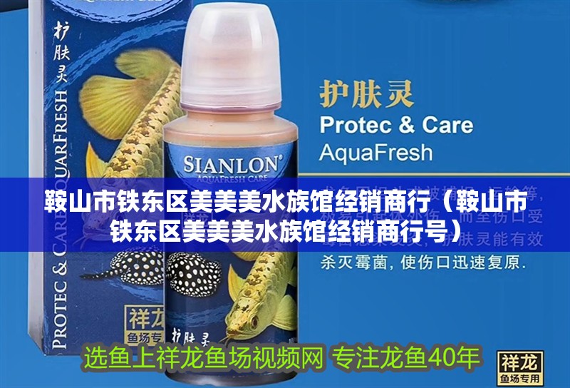 鞍山市鐵東區美美美水族館經銷商行（鞍山市鐵東區美美美水族館經銷商行號）