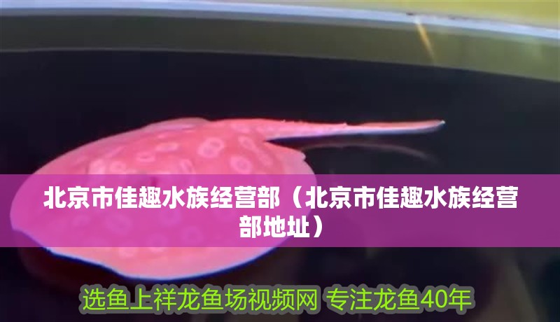 北京市佳趣水族經營部（北京市佳趣水族經營部地址）
