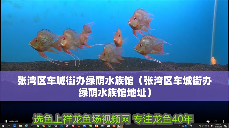 張灣區車城街辦綠蔭水族館（張灣區車城街辦綠蔭水族館地址）
