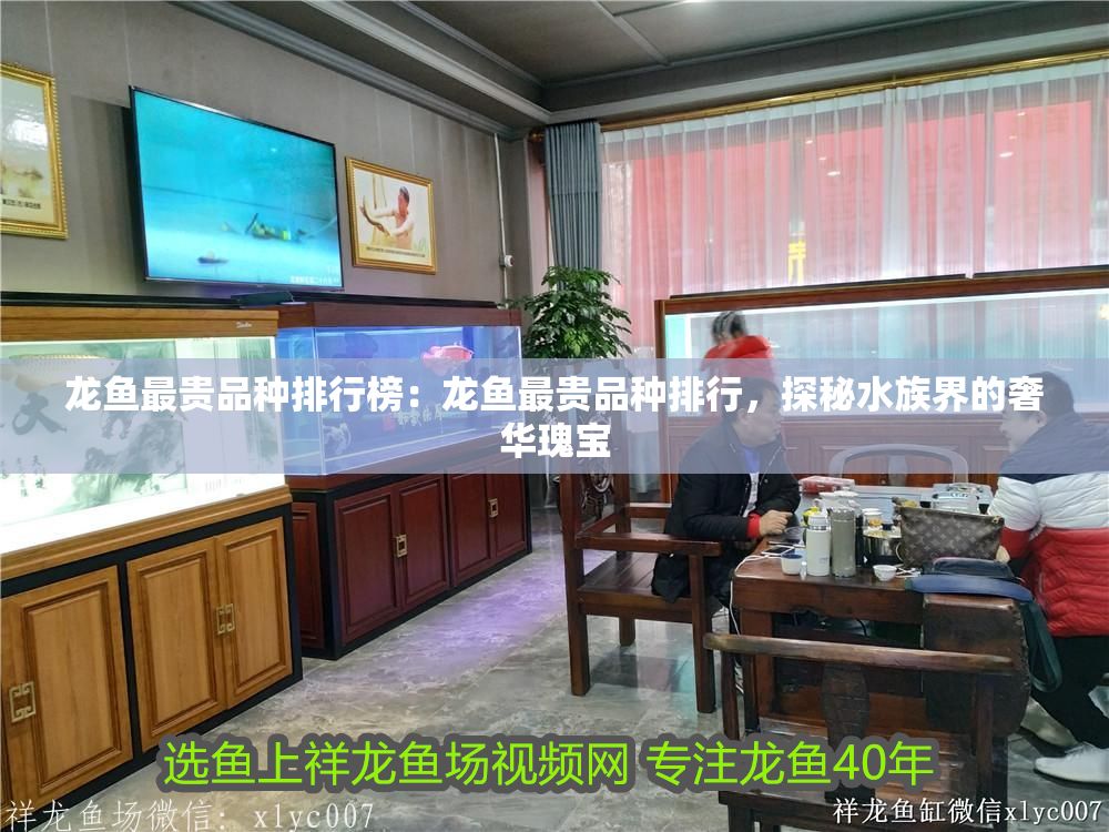 龍魚最貴品種排行榜：龍魚最貴品種排行，探秘水族界的奢華瑰寶