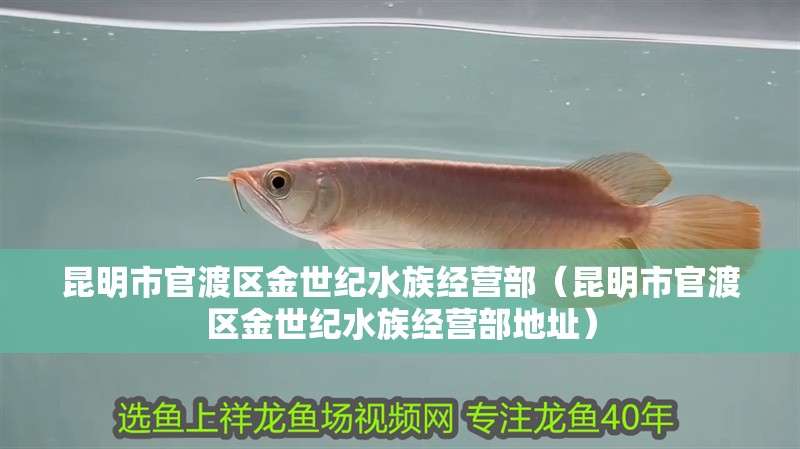昆明市官渡區金世紀水族經營部(昆明市官渡區金世紀水族經營部地址) 全國水族館企業名錄 第2張 昆明市官渡區金世紀水族經營部(昆明市官渡區金世紀水族經營部地址) 昆明市官渡區金世紀水族經營部(昆明市官渡區金世紀水族經營部地址) 全國水族館企業名錄 第2張