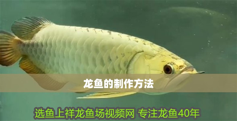 龍魚的制作方法