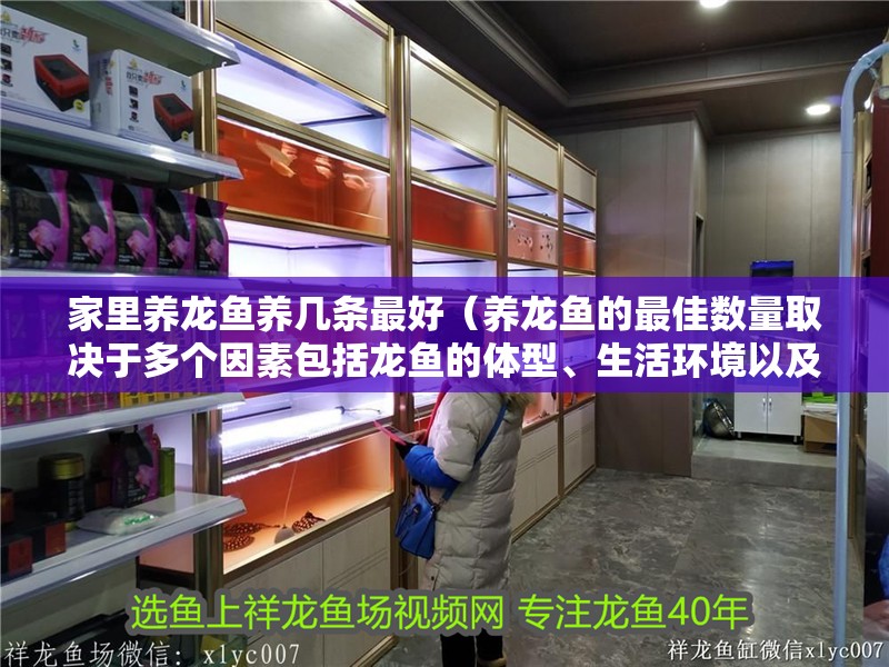 家里養龍魚養幾條最好（養龍魚的最佳數量取決于多個因素包括龍魚的體型、生活環境以及風水考慮）