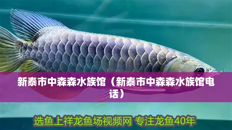 新泰市中森森水族館（新泰市中森森水族館電話）
