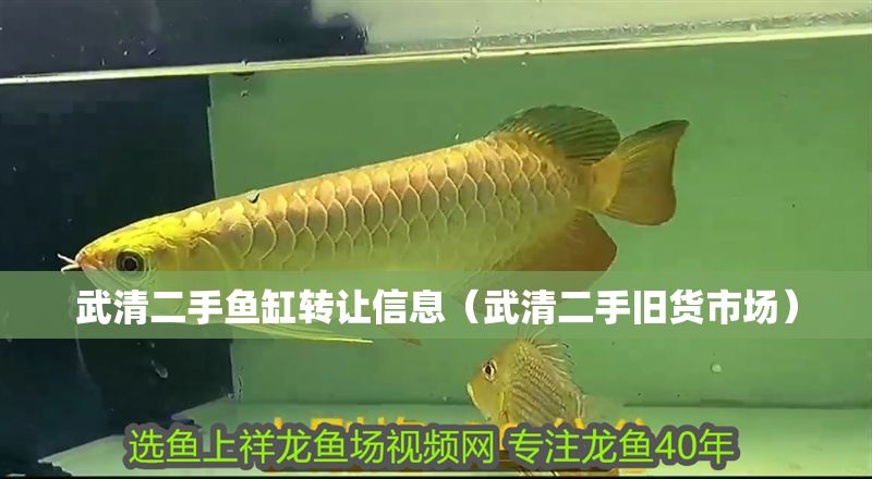 武清二手魚缸轉(zhuǎn)讓信息（武清二手舊貨市場）