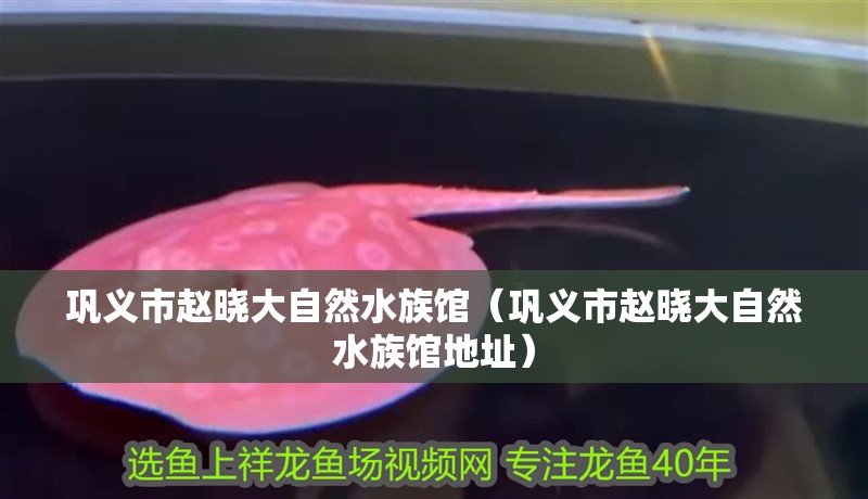 鞏義市趙曉大自然水族館（鞏義市趙曉大自然水族館地址） 鞏義市趙曉大自然水族館（鞏義市趙曉大自然水族館地址） 全國水族館企業名錄 第2張