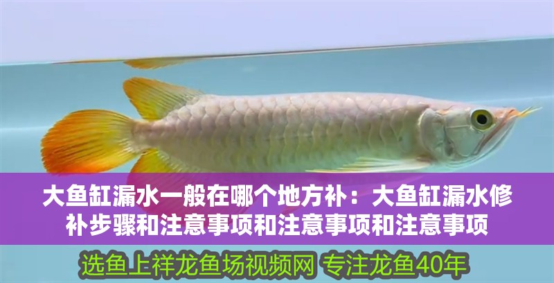 大魚(yú)缸漏水一般在哪個(gè)地方補(bǔ)：大魚(yú)缸漏水修補(bǔ)步驟和注意事項(xiàng)和注意事項(xiàng)和注意事項(xiàng)