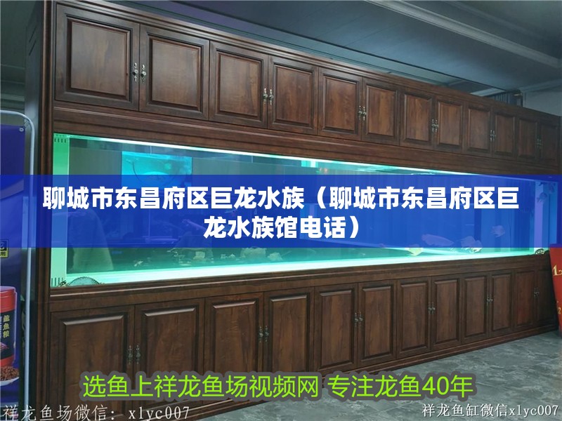 聊城市東昌府區巨龍水族（聊城市東昌府區巨龍水族館電話）