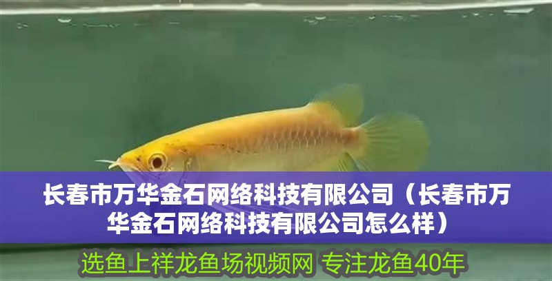 長春市萬華金石網絡科技有限公司（長春市萬華金石網絡科技有限公司怎么樣）