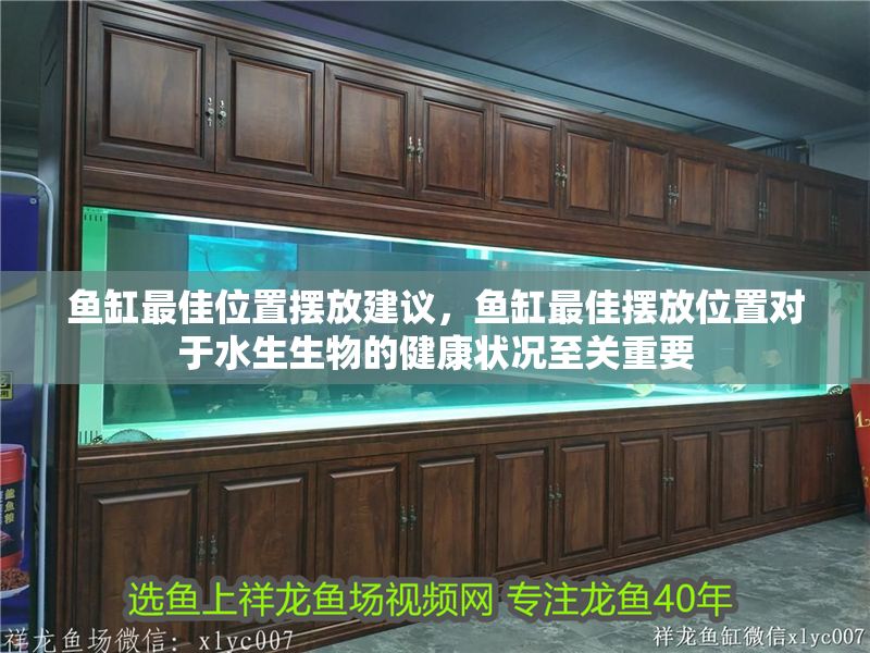魚缸最佳位置擺放建議，魚缸最佳擺放位置對(duì)于水生生物的健康狀況至關(guān)重要