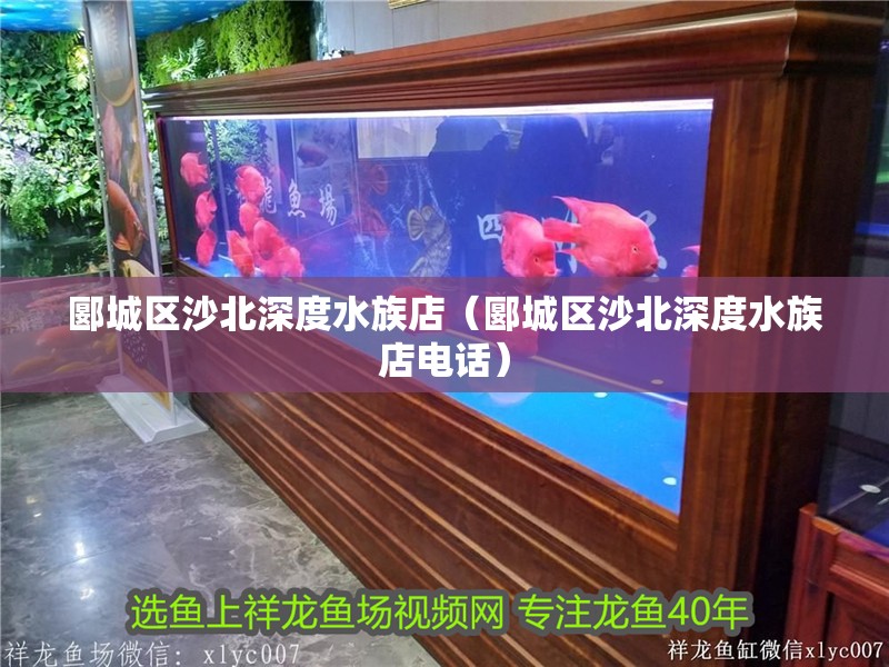 郾城區(qū)沙北深度水族店（郾城區(qū)沙北深度水族店電話）