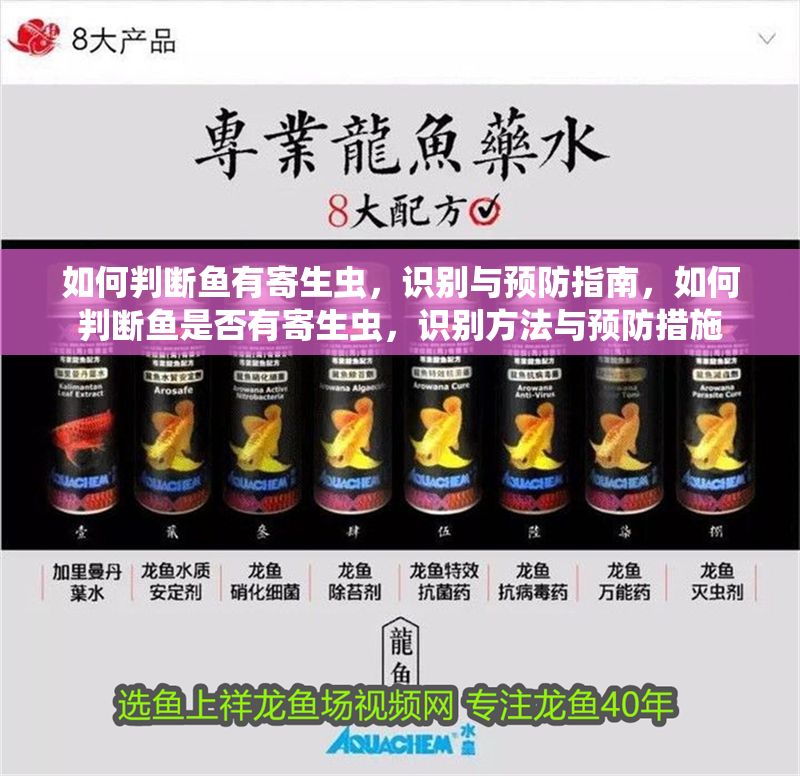 如何判斷魚(yú)有寄生蟲(chóng)，識(shí)別與預(yù)防指南，如何判斷魚(yú)是否有寄生蟲(chóng)，識(shí)別方法與預(yù)防措施 如何判斷魚(yú)有寄生蟲(chóng)，識(shí)別與預(yù)防指南，如何判斷魚(yú)是否有寄生蟲(chóng)，識(shí)別方法與預(yù)防措施 龍魚(yú)常見(jiàn)疾病 第1張