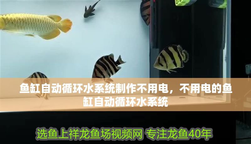 魚缸自動循環水系統制作不用電，不用電的魚缸自動循環水系統