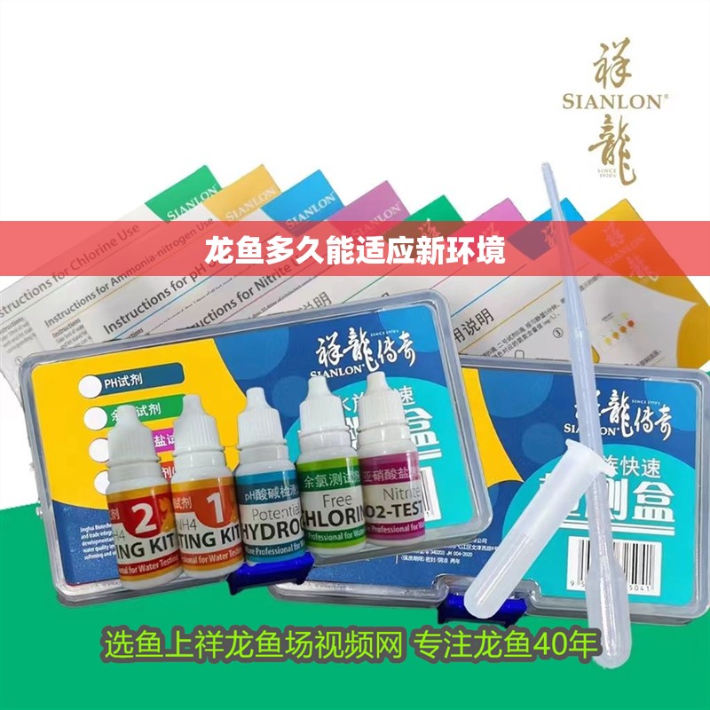 龍魚多久能適應新環境