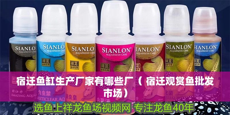 宿遷魚缸生產廠家有哪些廠（ 宿遷觀賞魚批發市場）