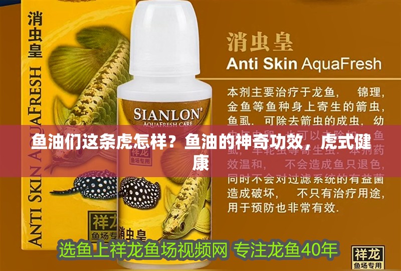 魚(yú)油們這條虎怎樣？魚(yú)油的神奇功效，虎式健康