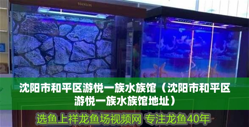 沈陽市和平區游悅一族水族館(沈陽市和平區游悅一族水族館地址) 全國水族館企業名錄 第2張 沈陽市和平區游悅一族水族館(沈陽市和平區游悅一族水族館地址) 沈陽市和平區游悅一族水族館(沈陽市和平區游悅一族水族館地址) 全國水族館企業名錄 第2張