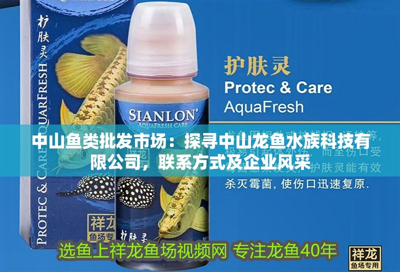 中山魚類批發市場：探尋中山龍魚水族科技有限公司，聯系方式及企業風采