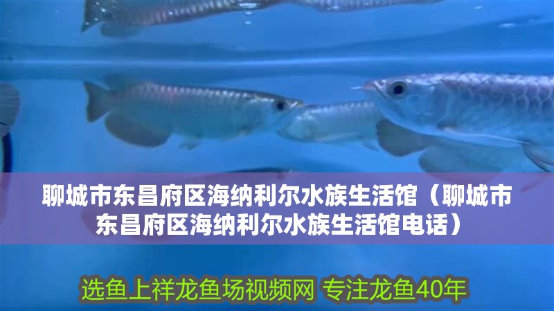聊城市東昌府區海納利爾水族生活館（聊城市東昌府區海納利爾水族生活館電話）