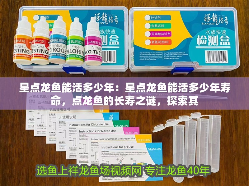 星點龍魚能活多少年：星點龍魚能活多少年壽命，點龍魚的長壽之謎，探索其