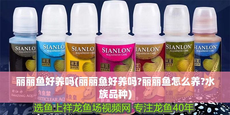 麗麗魚好養嗎(麗麗魚好養嗎?麗麗魚怎么養?水族品種)