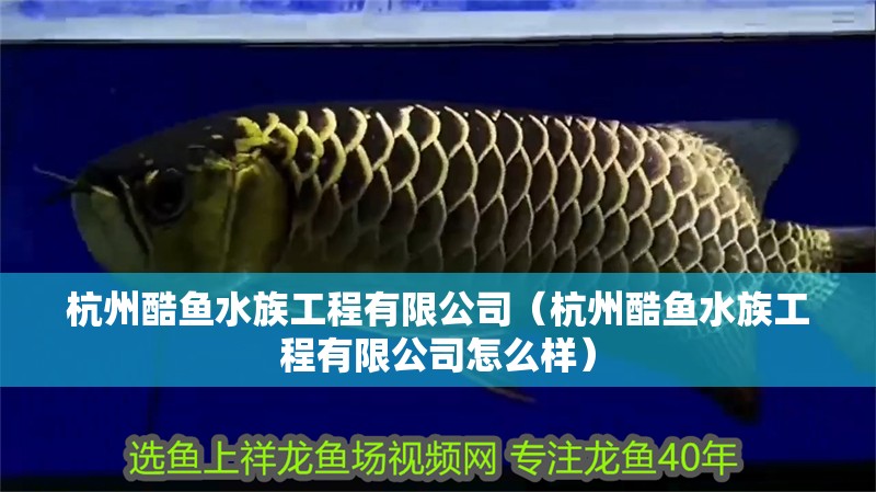 杭州酷魚水族工程有限公司（杭州酷魚水族工程有限公司怎么樣）