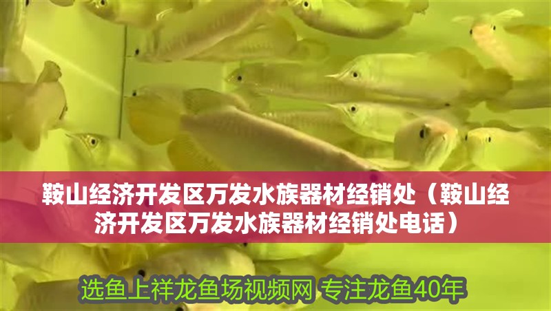 鞍山經濟開發區萬發水族器材經銷處（鞍山經濟開發區萬發水族器材經銷處電話）