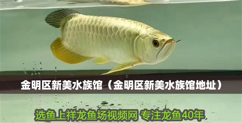 金明區新美水族館（金明區新美水族館地址）