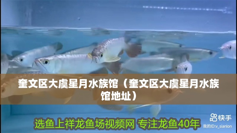 奎文區(qū)大虞星月水族館（奎文區(qū)大虞星月水族館地址）