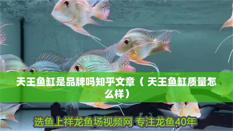 天王魚缸是品牌嗎知乎文章（ 天王魚缸質量怎么樣）