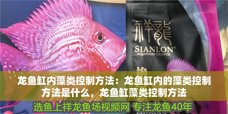龍魚缸內(nèi)藻類控制方法：龍魚缸內(nèi)的藻類控制方法是什么，龍魚缸藻類控制方法