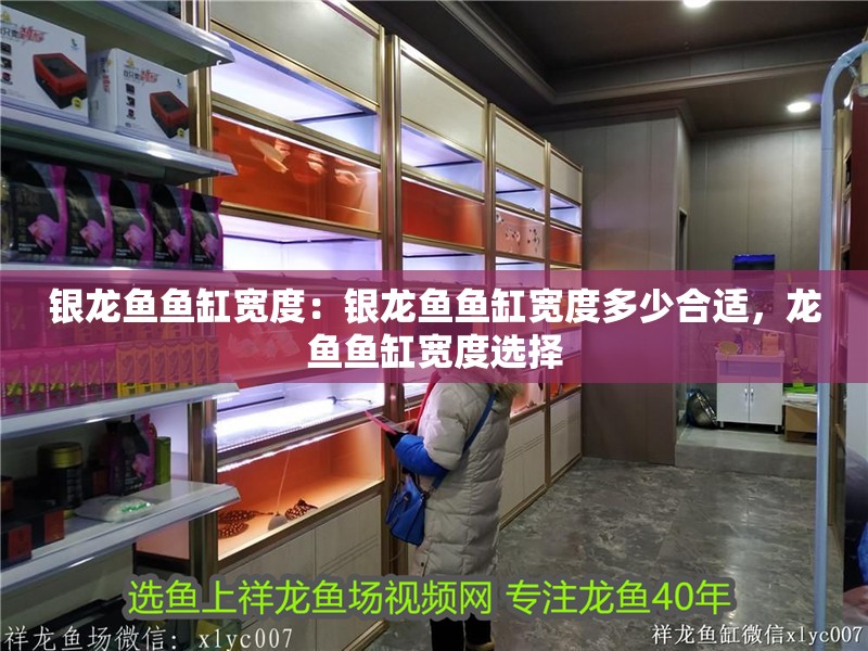 銀龍魚魚缸寬度：銀龍魚魚缸寬度多少合適，龍魚魚缸寬度選擇
