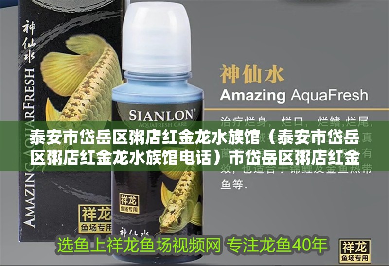 泰安市岱岳區粥店紅金龍水族館(泰安市岱岳區粥店紅金龍水族館電話)市岱岳區粥店紅金龍水族館,探索海洋奇觀,享受親 全國水族館企業名錄 第2張 泰安市岱岳區粥店紅金龍水族館(泰安市岱岳區粥店紅金龍水族館電話)市岱岳區粥店紅金龍水族館,探索海洋奇觀,享受親 泰安市岱岳區粥店紅金龍水族館(泰安市岱岳區粥店紅金龍水族館電話)市岱岳區粥店紅金龍水族館,探索海洋奇觀,享受親 全國水族館企業名錄 第2張