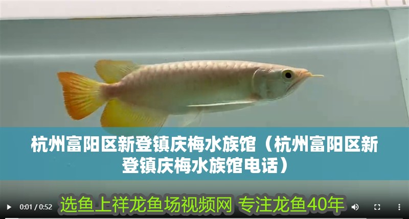 杭州富陽區新登鎮慶梅水族館（杭州富陽區新登鎮慶梅水族館電話）
