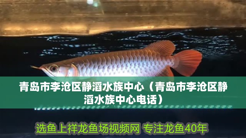 青島市李滄區(qū)靜滔水族中心（青島市李滄區(qū)靜滔水族中心電話）