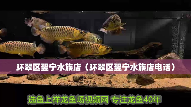環(huán)翠區(qū)翌寧水族店（環(huán)翠區(qū)翌寧水族店電話）