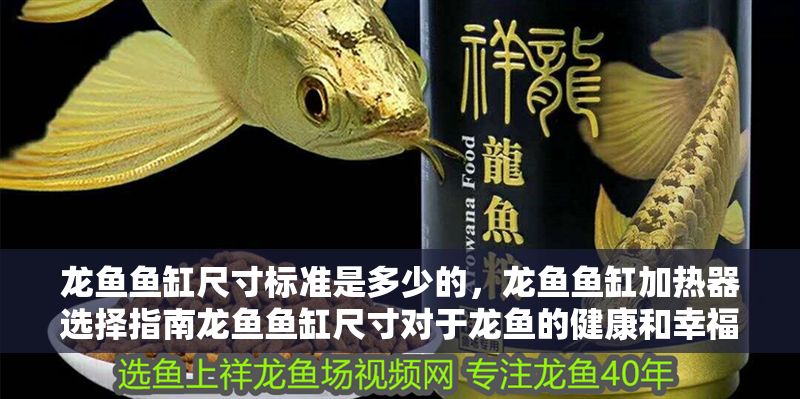 龍魚魚缸尺寸標準是多少的，龍魚魚缸加熱器選擇指南龍魚魚缸尺寸對于龍魚的健康和幸福至關重要