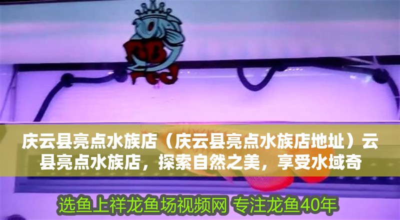 慶云縣亮點水族店（慶云縣亮點水族店地址）云縣亮點水族店，探索自然之美，享受水域奇